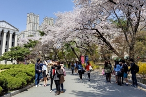 Mốc thời gian vàng để du học Hàn Quốc