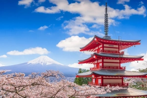 Du học Nhật Bản nên học ngành gì?