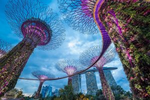 Du học singapore – Thủ tục xin visa du học năm 2023